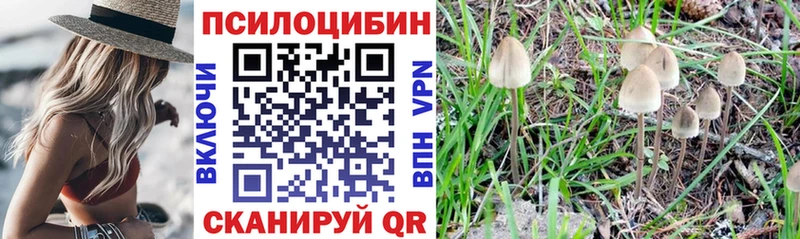 Галлюциногенные грибы Magic Shrooms  MEGA сайт  Усть-Катав 